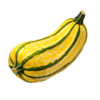 A yellow squash with green stripes on it png