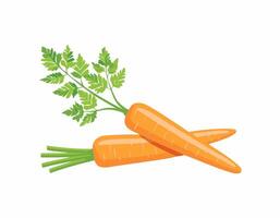 A colorful carrot with vivid orange body and leafy green top, perfect for farm-to-table content, menus, and grocery visuals. vector