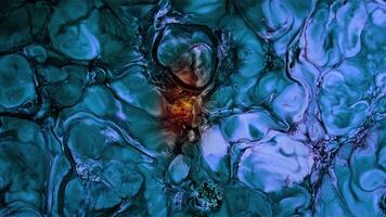 Psychedelic Pattern Abstract Ink Paint Diffusion Paradox Illusion Shapes video