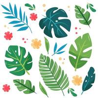 Set of tropical plants on a white background vector
