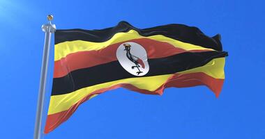 Flag of Uganda waving at wind in slow with blue sky, loop video