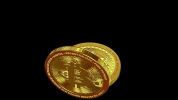 Exclusive, Two Gold Bitcoins in Full Rotation, Transparent Background, Coin, Cryptocurrency, Alpha Channel, Blockchain, Looped, Money video