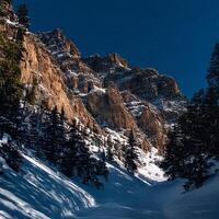 A snow covered mountain with trees and rocks photo