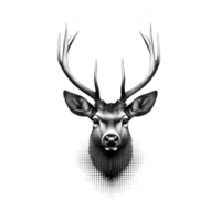 A detailed black and white illustration of deer head with antlers, showcasing intricate shading and dot patterns. artwork captures majestic and serene expression of deer png