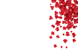 A cascade of vibrant red flowers gracefully descends from top right corner, creating dynamic and elegant visual effect against transparent background. scattered petals evoke sense of movement and png