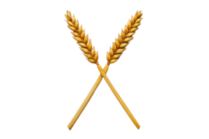 A Two golden wheat stalks crossed against transparency background, symbolizing agriculture and harvest. image conveys sense of abundance and natural growth png