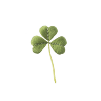 A single green four leaf clover with textured appearance is centered on plain background, symbolizing luck and fortune. clover leaves are detailed, showcasing natural and vibrant look png