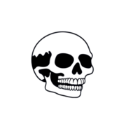 A detailed black and white illustration of human skull, showcasing intricate bone structure and teeth, set against plain background. image evokes sense of mystery and intrigue png