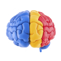 A colorful, segmented brain model with blue, yellow, and red sections, symbolizing creativity and logic. vibrant colors highlight different brain functions png