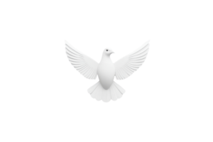 A white dove with outstretched wings symbolizes peace and freedom, set against plain background. bird serene expression and graceful posture convey sense of tranquility and hope png