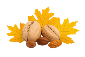 A Two whole walnuts and almonds are placed front of vibrant yellow autumn leaves, creating seasonal and natural display. composition highlights textures and colors of nuts and leaves, evoking sense png