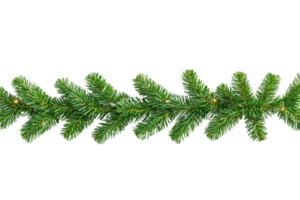 A festive green pine garland with small lights, perfect for holiday decoration, creating warm and inviting atmosphere png