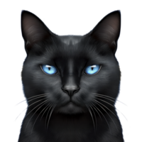 A digital illustration of black cat with striking blue eyes, showcasing mysterious and captivating expression. detailed fur texture and vibrant eye color create lifelike appearance png