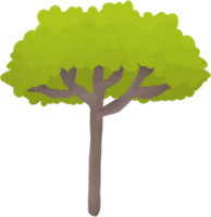 A cartoonish tree with a brown trunk and a broad light green crown sits on a transparent background. Numerous branches extend from the trunk to support a mass of fully arched leaves. png
