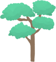 A cartoon style tree with a brown trunk and multiple clusters of green leaves sits on a transparent background. The canopy is divided into four distinct curved sections. png