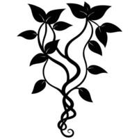 A black and white illustration of a vine with leaves vector