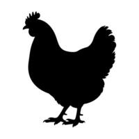 Silhouette of a standing hen in profile view with black color on white background vector