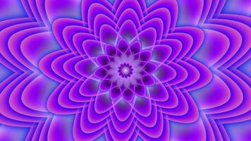 Abstract background of flowers opening with a loop effect in violet color. video