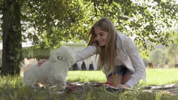 On a sunny day, a young woman spreads a colorful picnic blanket on the grass, enjoying quality time with her happy dog and creating joyful memories in the lush greenery around them video