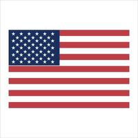 The american flag on a white background vector