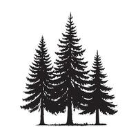 Silhouette of Three Pine Trees vector