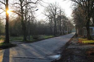 Empty rural road lined with bare trees, illuminated by the warm glow of the setting sun photo