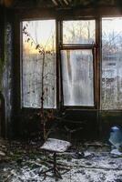Overgrown abandoned room with a broken chair, shattered glass, and plants growing through the decay photo