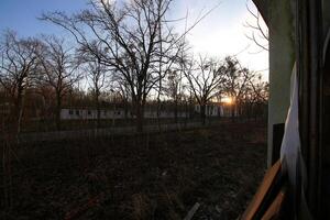 Sunset through trees outside an abandoned site with bare branches and distant empty buildings photo