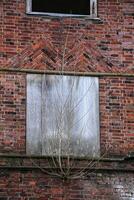 Brick wall with a small tree growing below a window in an old abandoned structure photo