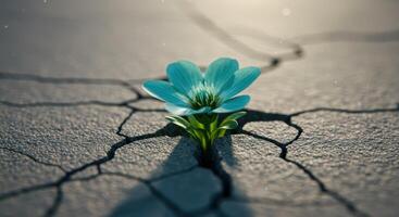 Single blue flower growing through crack in concrete. Symbolizes hope, resilience, determination, overcoming adversity, and new beginnings in challenging times. photo