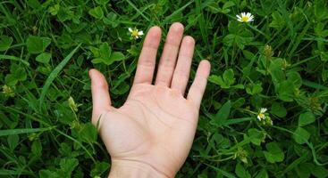 Close up of a fair skinned hand resting on a vibrant green field of clover and grass, with small white flowers adding a touch of natural beauty. photo