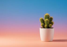 Cactus plant in white pot against a gradient background of pink, purple, and blue. Decorative succulent with spines, potted for indoor gardening. photo