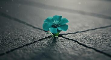 Teal flower growing through cracked concrete surface, symbolizing resilience, determination, and overcoming adversity in challenging environments. photo