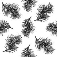 Pine branches seamless pattern hand drawn black and white outline illustration. Monochrome conifer twigs repeat design for rustic Christmas wrapping paper, winter textiles, and holiday prints. vector