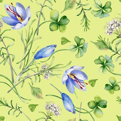 Wildflowers watercolor seamless pattern with clover, blue crocus and white labrador tea isolated. Botanical repeated background of flowers and leaves hand drawn. Foliage floral design for textile