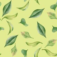 Tea leaves watercolor seamless pattern isolated. Green leaves botanical art hand drawn by pattern background. Greenery painted on repeated print. Foliate design for textile, package, wallpaper vector