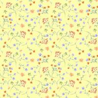 Delicate watercolor seamless pattern of flowers, herbs soft orange, blue color isolated. Abstract meadow blooms on repeated texture hand painted. Simple botanical background for textile, paper vector