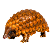 closeup View of a Unique Pangolin with Scales and Texture png