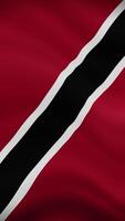 Trinidad and Tobago Waving Flag in Vertical Orientation. Realistic Flag Animation. Seamless Loop Background. video
