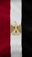 Egypt Waving Flag in Vertical Orientation. Realistic Flag Animation. Seamless Loop Background. video