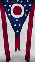 Ohio State Waving Flag in Vertical Orientation. Realistic Flag Animation. Seamless Loop Background. video