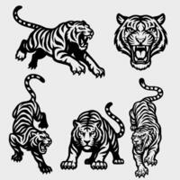 Set of Fierce Black and White Tiger Poses, Roaring, Attacking, and Prowling Vectors