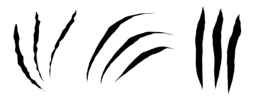 Animal scratch set. Sharp cat claw traces on dark background. Use for horror, pets, or creative textures. vector