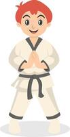 Boy Taekwondo Character on White Background vector