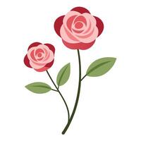 Stylized Illustration of Two Pink and Red Roses on a Stem with Leaves vector