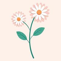 Simple Illustration of Two Pink and White Daisies on a Stem vector