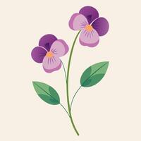 Elegant Illustration of Two Purple Pansies with Green Leaves on a Stem vector