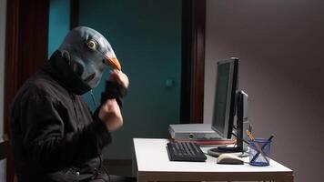 Businessman with pigeon mask clapping in front of computer. spioniro golubiro video