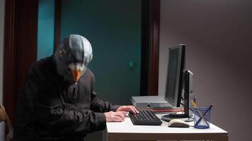 hacker vestindo Pombo mascarar digitando em teclado. espião golubiro video