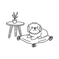 A Shih Tzu resting on a cushion beside a coffee table vector
